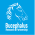 Bucephalus Research Partnership - Exposing Creative accounting and Fraud